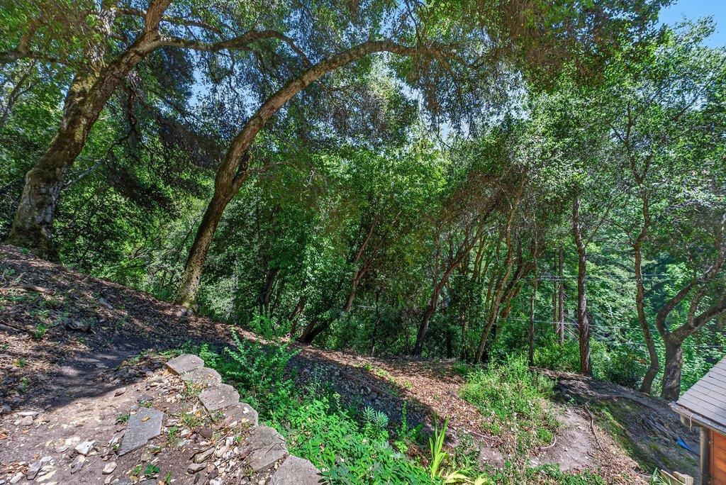 9937 Rosebloom Avenue Property Photo 48