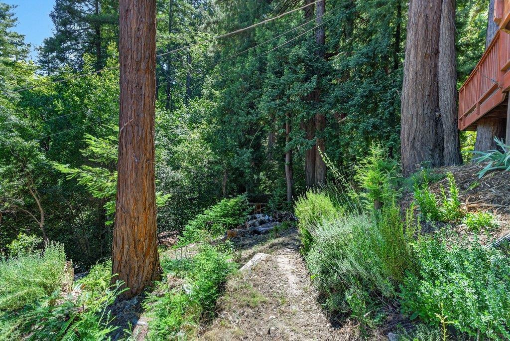 9937 Rosebloom Avenue Property Photo 49