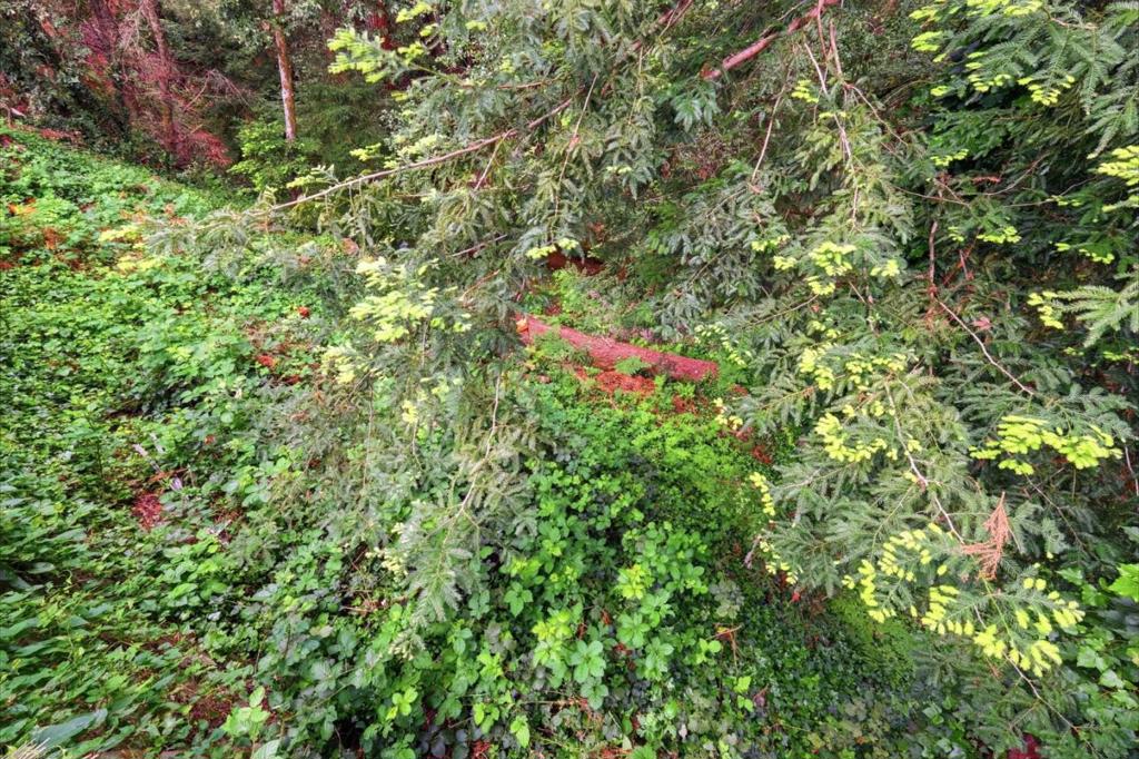18285 China Grade 14 Property Photo 31