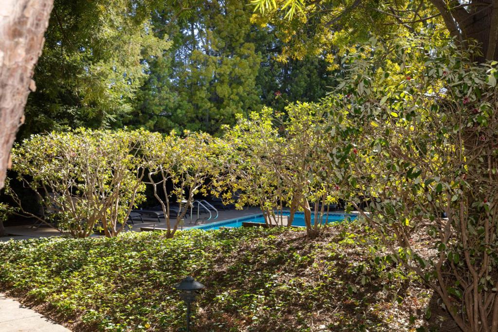 561 Thain Way Property Photo 31