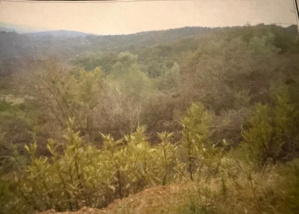 0 Croy Ridge Road Property Photo 1