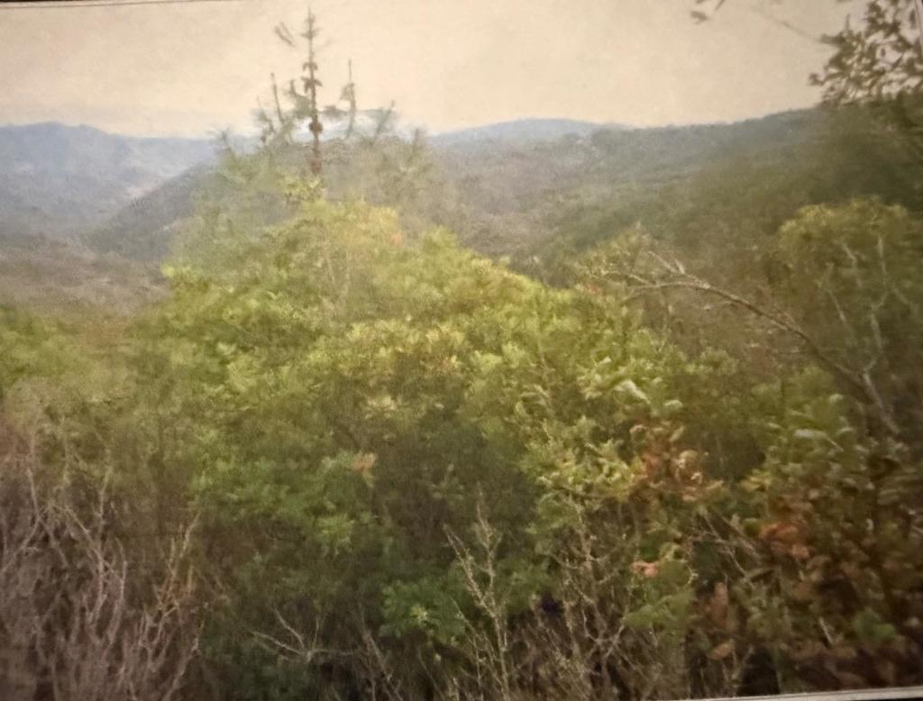 0 Croy Ridge Road Property Photo 4