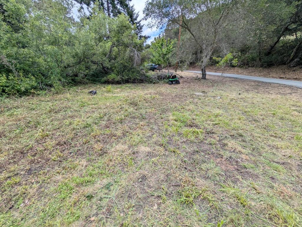 4576 Paul Sweet Road Property Photo 3