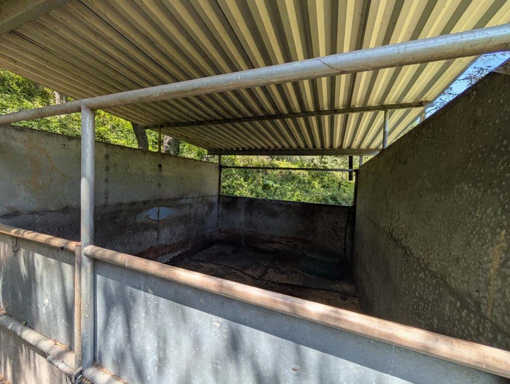 4576 Paul Sweet Road Property Photo 8