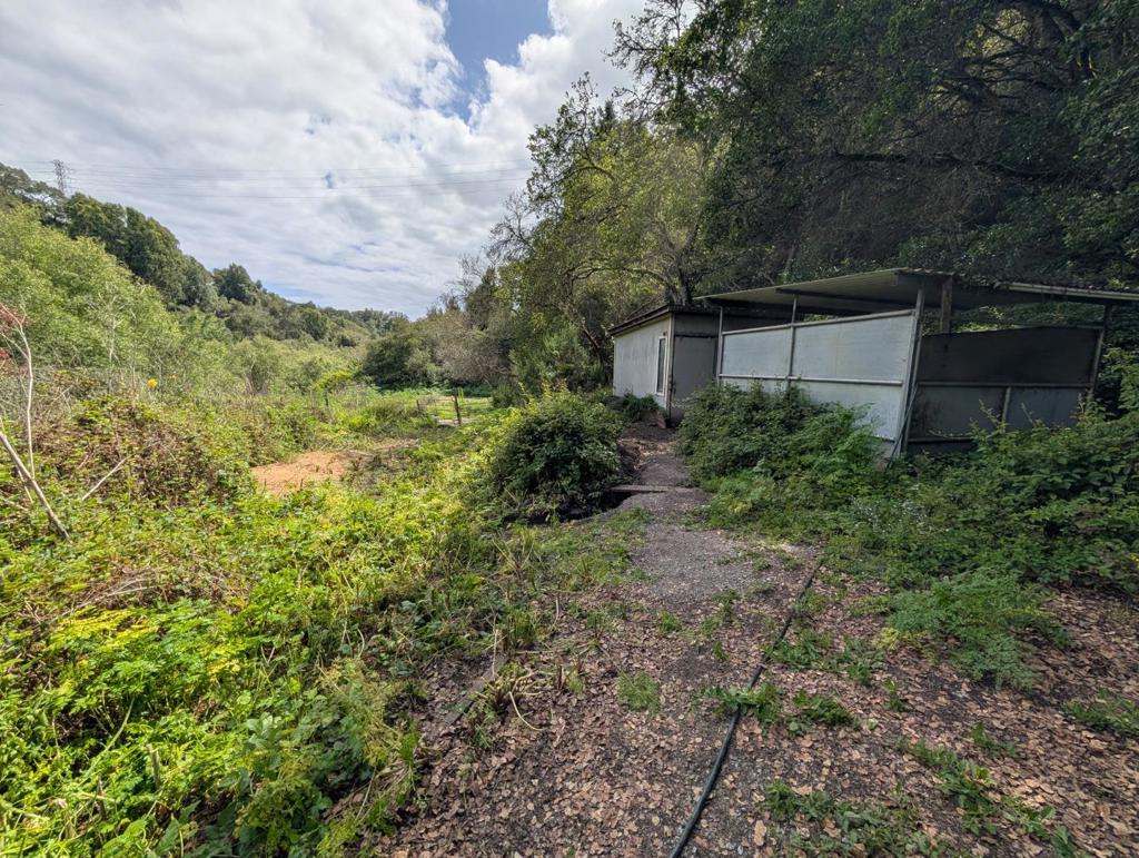 4576 Paul Sweet Road Property Photo 9