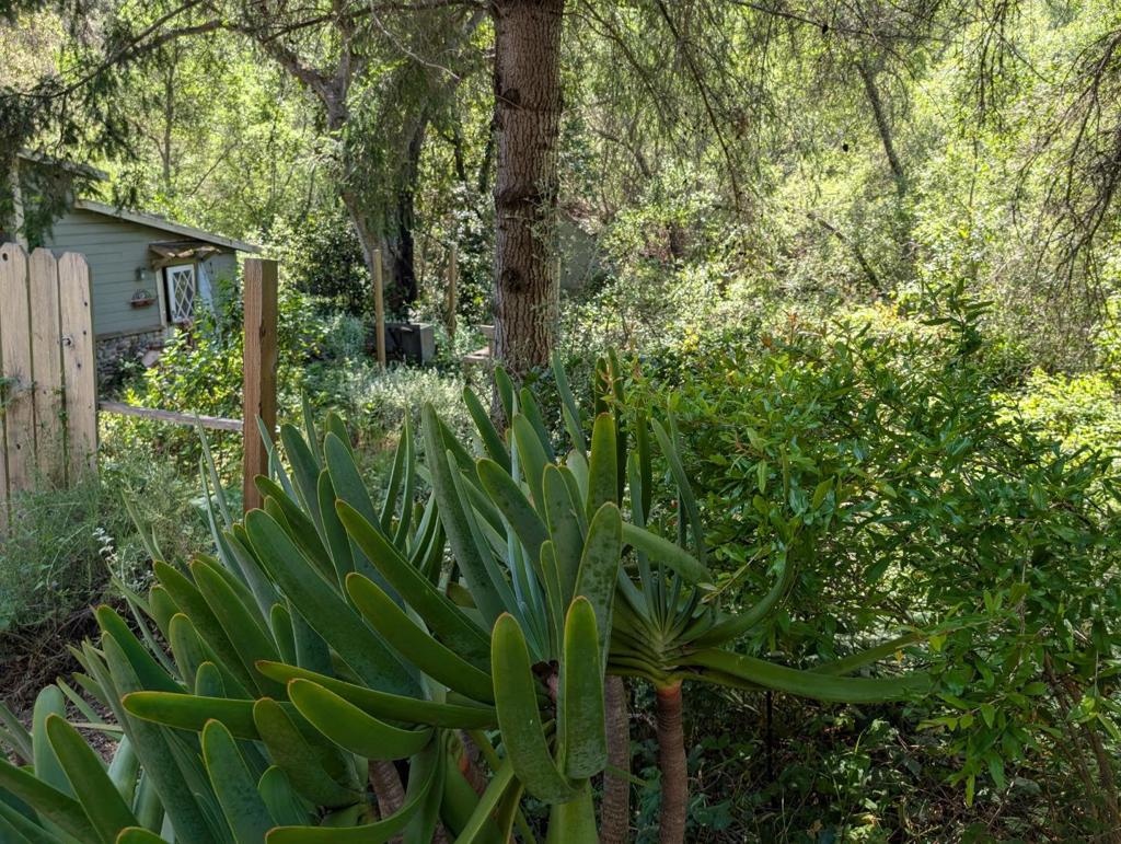 4576 Paul Sweet Road Property Photo 17