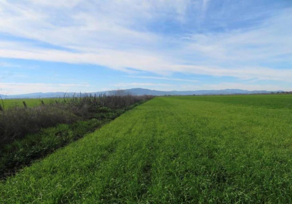 4790 Pacheco Pass Highway Property Photo 35