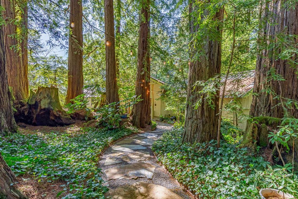 1100 Old La Honda Road Property Photo 4