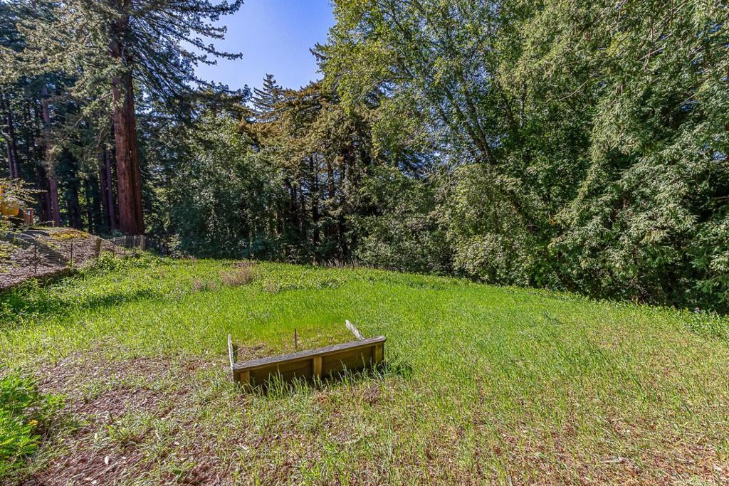 1100 Old La Honda Road Property Photo 13