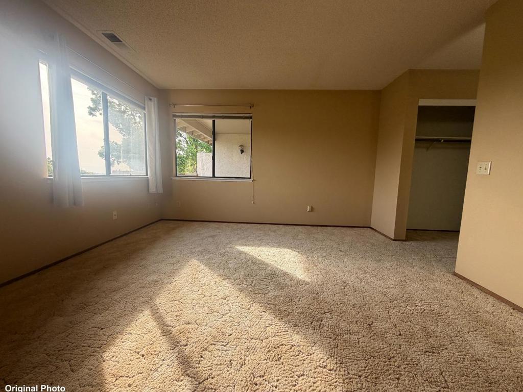 7402 Via Calzada Property Photo 20