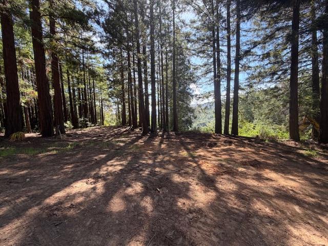 7175 Redwood Retreat Property Photo 2