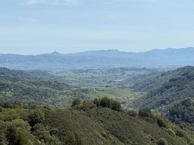 7175 Redwood Retreat Property Photo 3