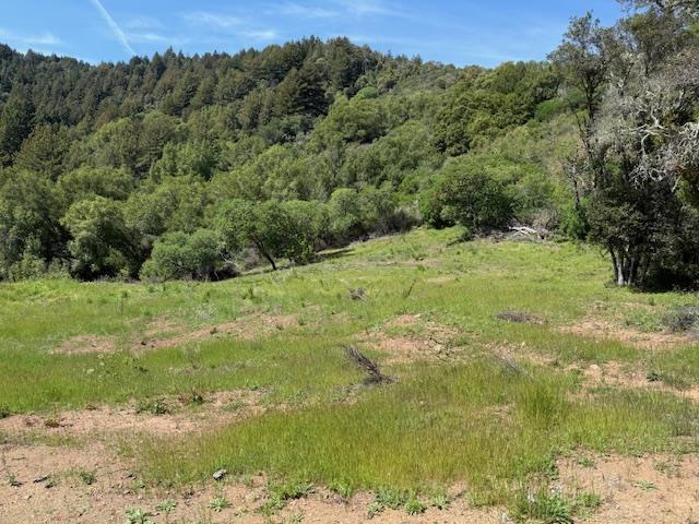 7175 Redwood Retreat Property Photo 4