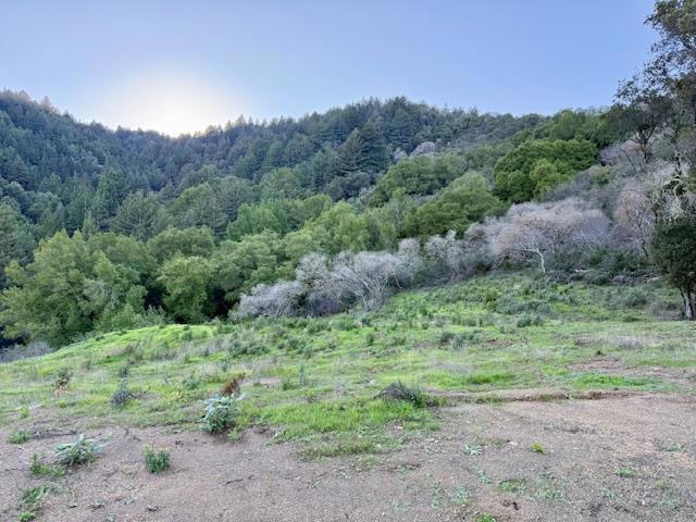 7175 Redwood Retreat Property Photo 7