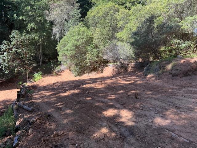 7175 Redwood Retreat Property Photo 8