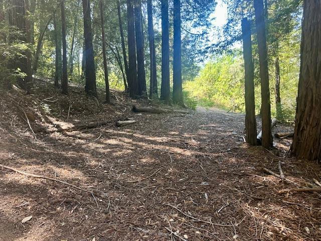 7175 Redwood Retreat Property Photo 11