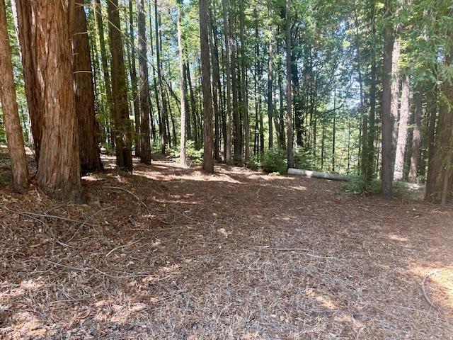7175 Redwood Retreat Property Photo 13