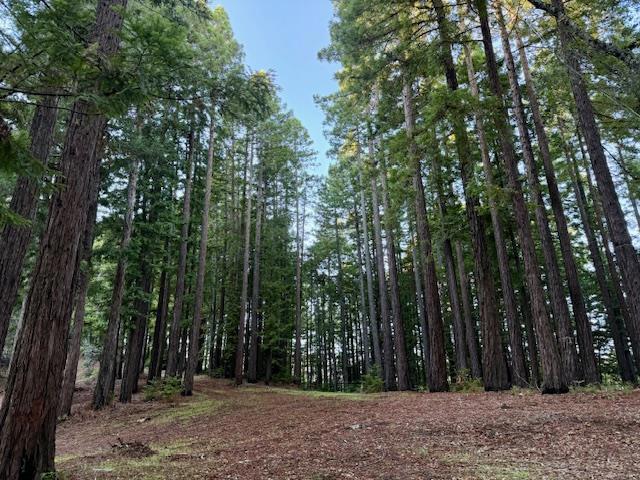 7175 Redwood Retreat Property Photo 16