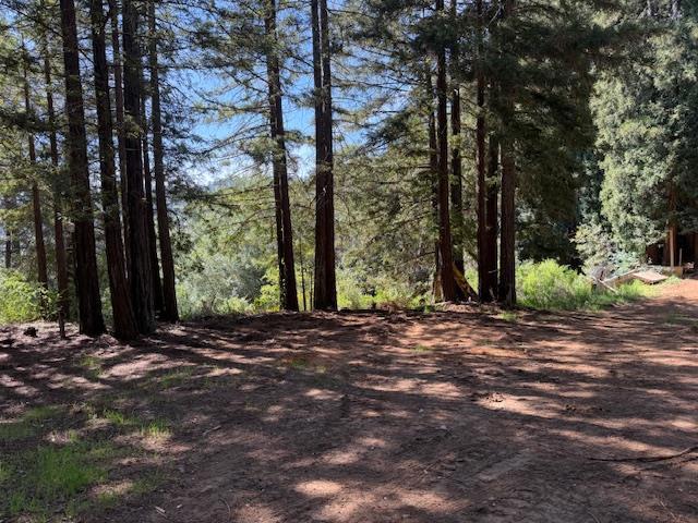 7175 Redwood Retreat Property Photo 18
