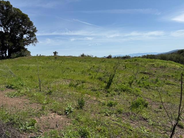 7175 Redwood Retreat Property Photo 26