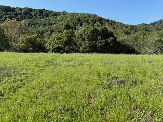 0 Cinnabar Hills Road Property Photo 4