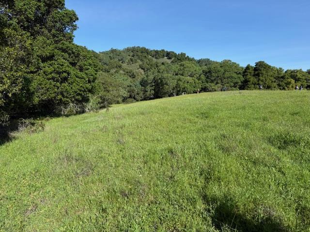 0 Cinnabar Hills Road Property Photo 12