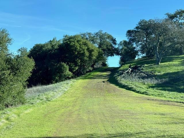 0 Cinnabar Hills Road Property Photo 28