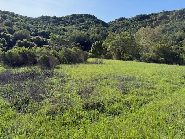 0 Cinnabar Hills Road Property Photo 37