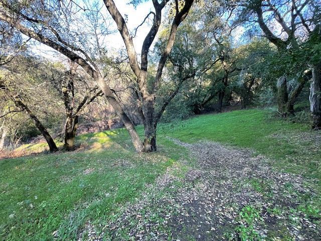 0 Cinnabar Hills Road Property Photo 38