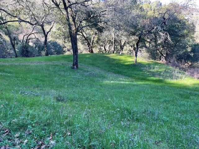 0 Cinnabar Hills Road Property Photo 39