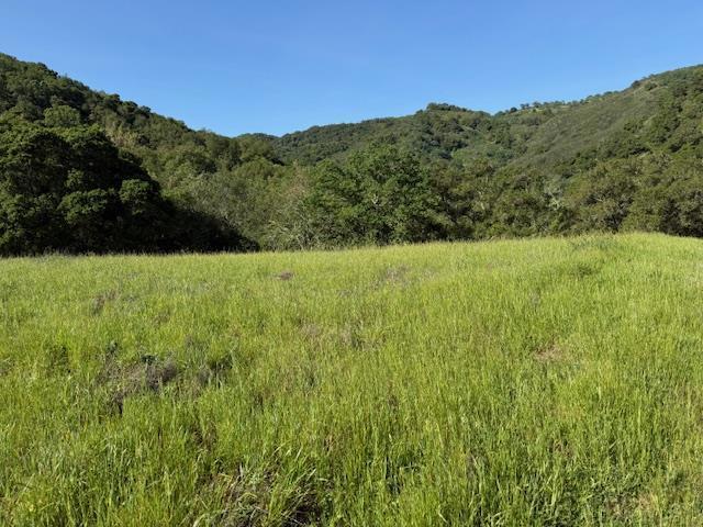 0 Cinnabar Hills Road Property Photo 41