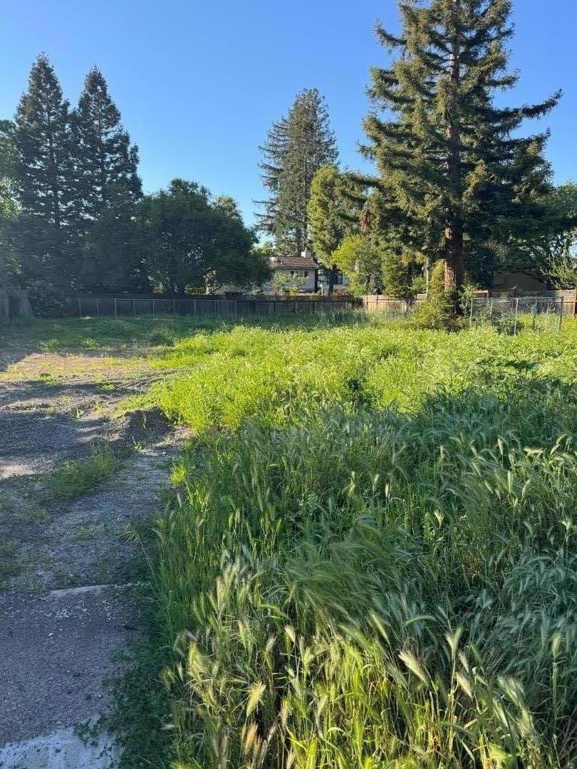 Encina Avenue Property Photo 1