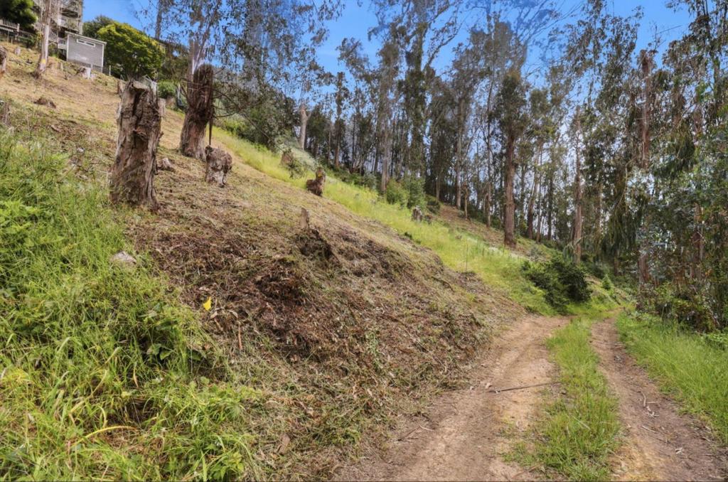 ML82046217 Property Photo 5