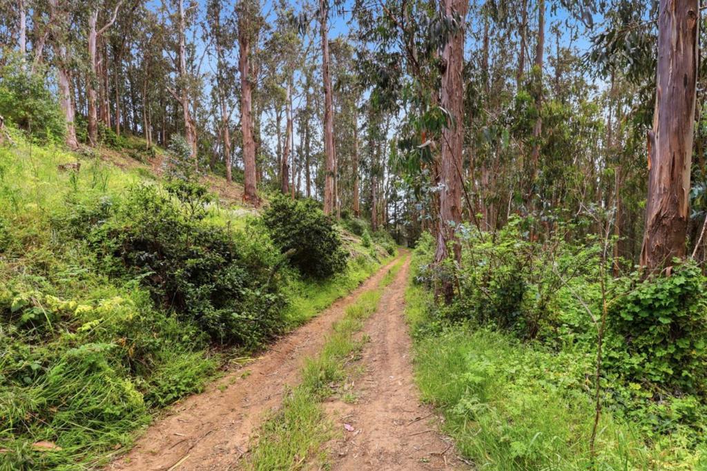 ML82046217 Property Photo 8