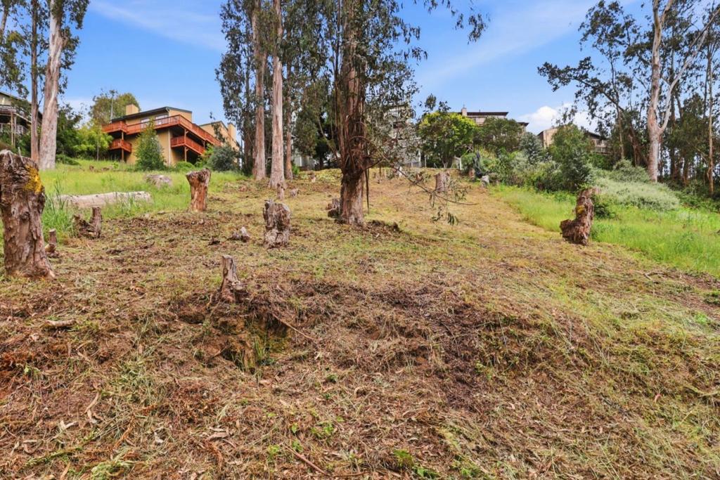 ML82046217 Property Photo 9