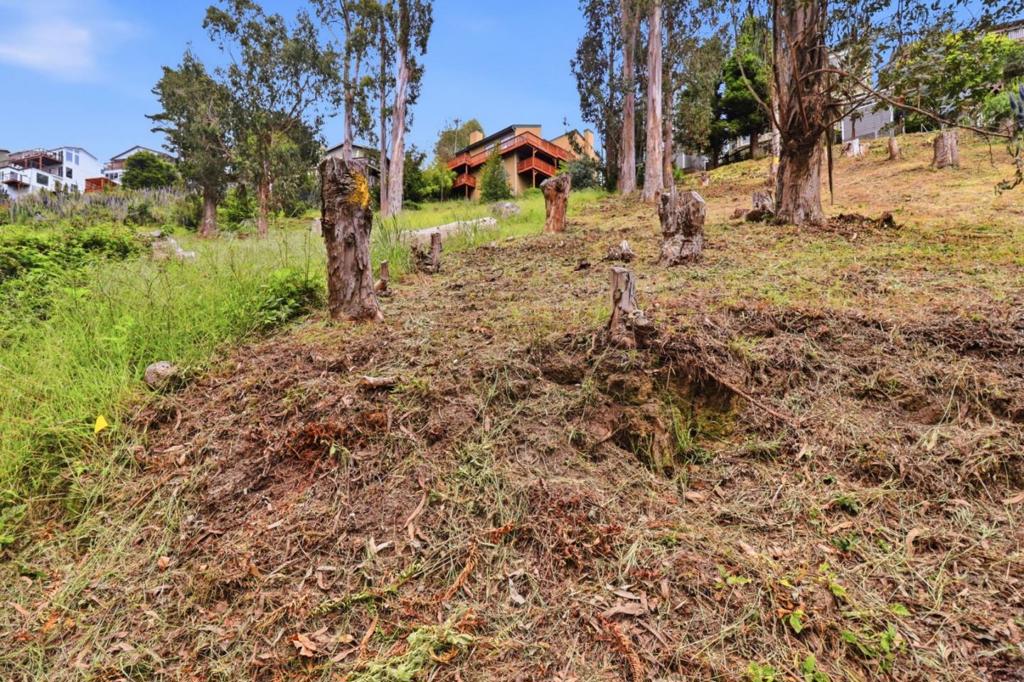ML82046217 Property Photo 11