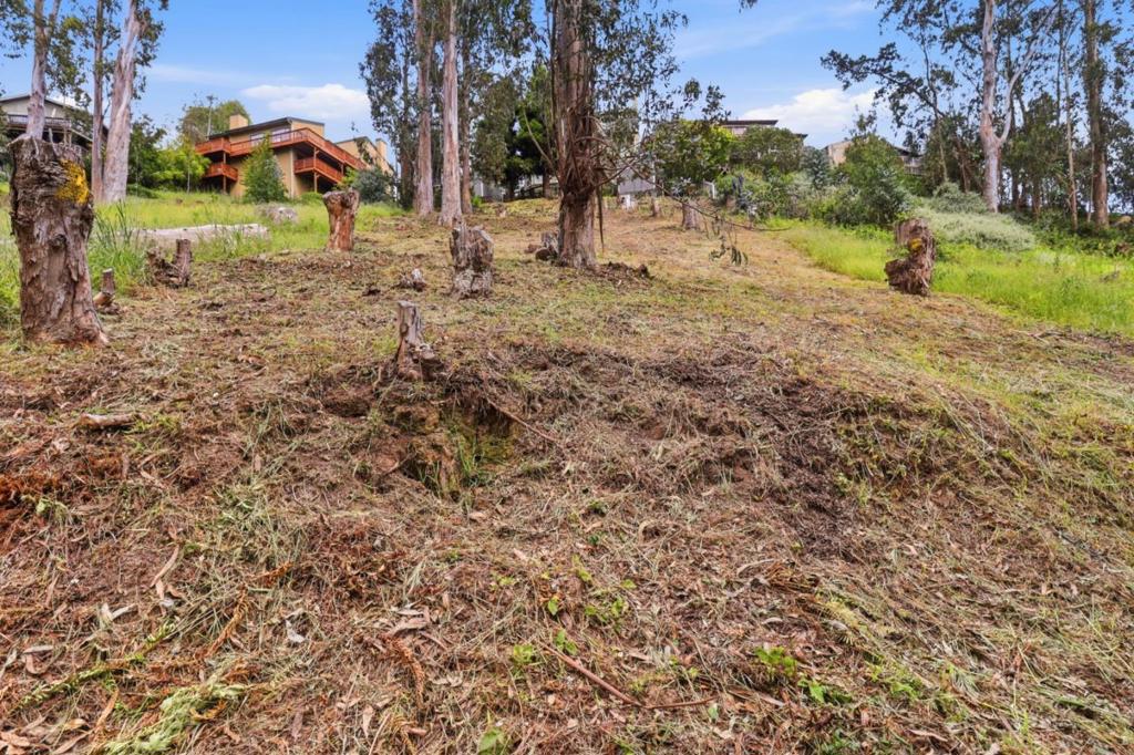 ML82046217 Property Photo 12