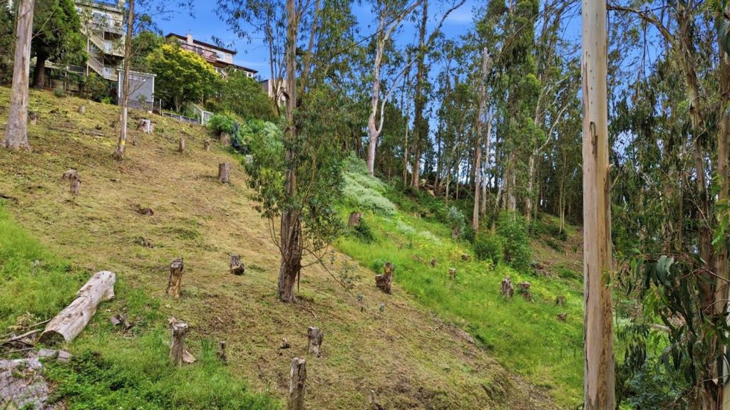 ML82046217 Property Photo 22
