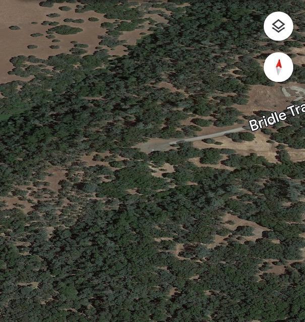 0 Bridle Trail Property Photo 2