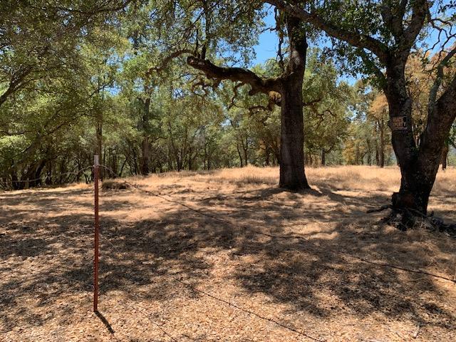 0 Bridle Trail Property Photo 4