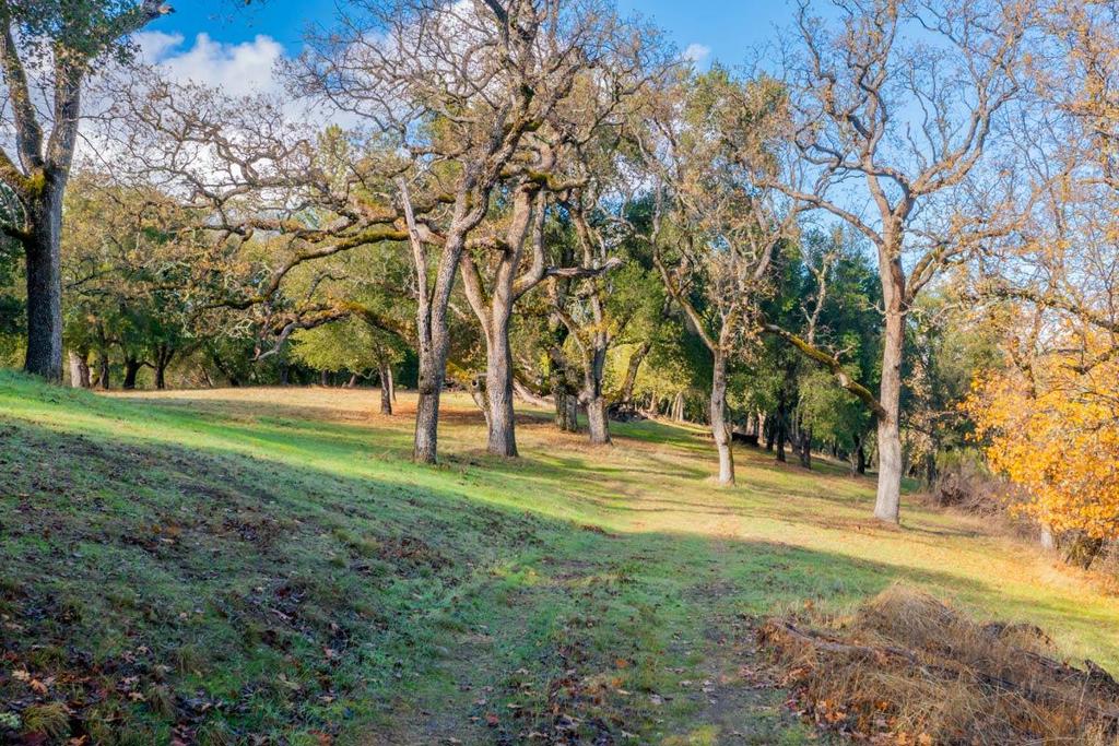 36 Arroyo Sequoia (lot 117) Property Photo 2