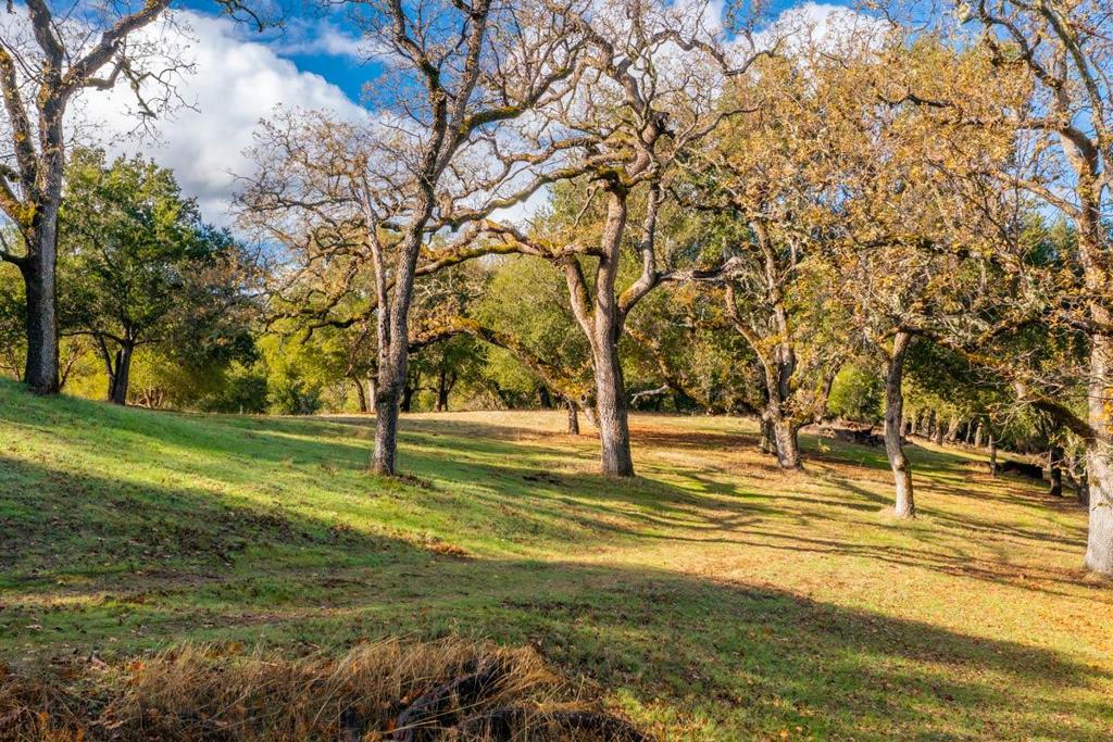 36 Arroyo Sequoia (lot 117) Property Photo 3
