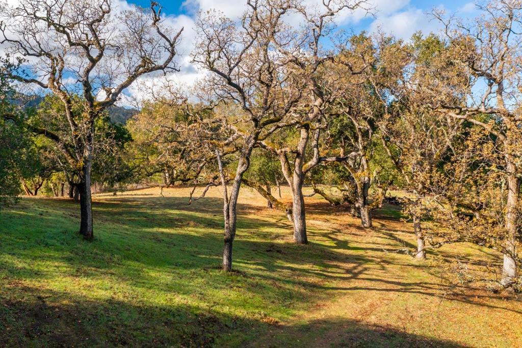 36 Arroyo Sequoia (lot 117) Property Photo 4