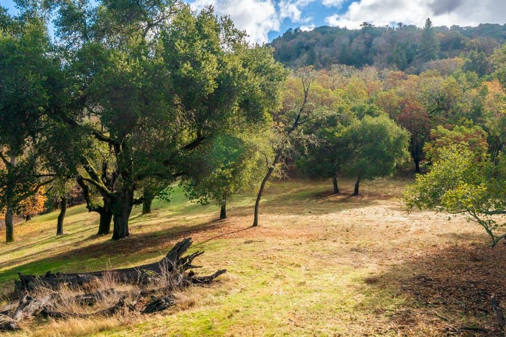 36 Arroyo Sequoia (lot 117) Property Photo 7