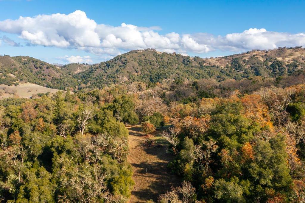 36 Arroyo Sequoia (lot 117) Property Photo 9