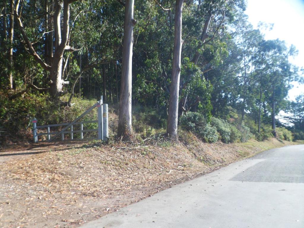 0 Cabrillo Hwy Property Photo 15
