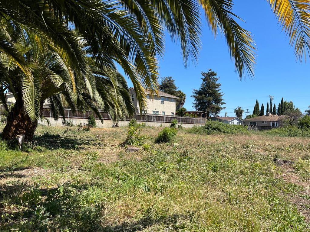 ML82046589 Property Photo 4