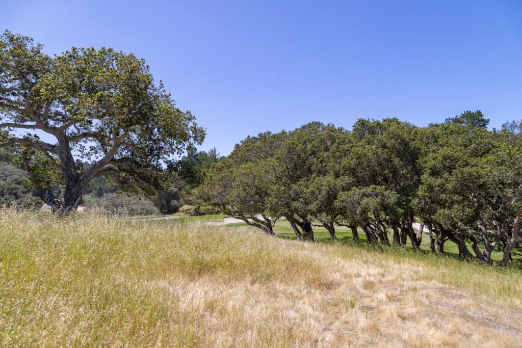 25520 Via Malpaso Property Photo 3