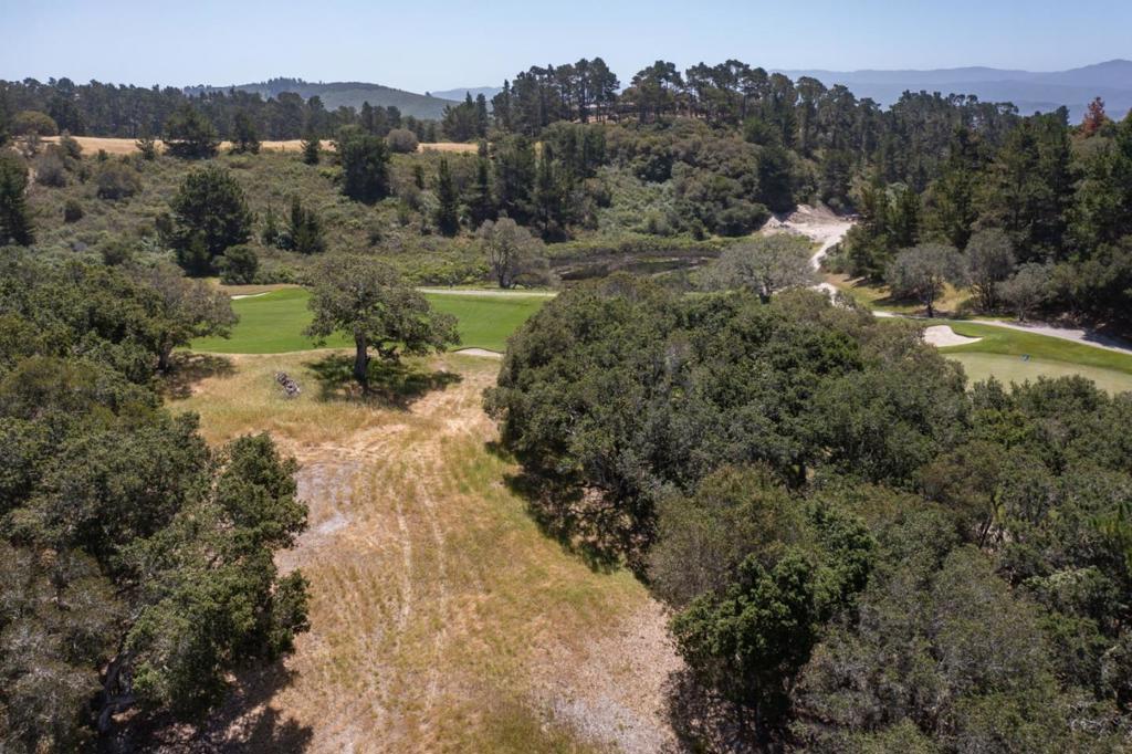 25520 Via Malpaso Property Photo 11