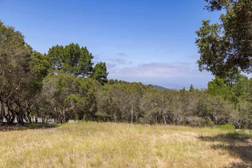 25520 Via Malpaso Property Photo 12